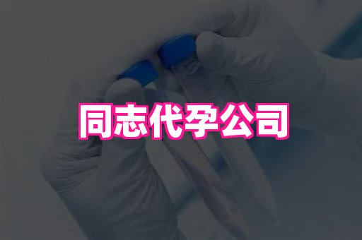 天津助孕网站 3